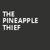 The Pineapple Thief, Beanfield Theatre, Montreal