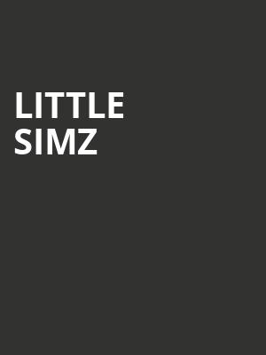 Little Simz Poster
