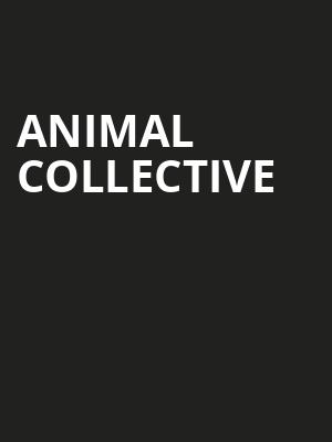 Animal Collective, Corona Theatre, Montreal